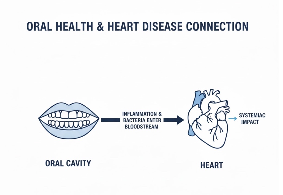 Illustration showing the link between gum disease and heart health